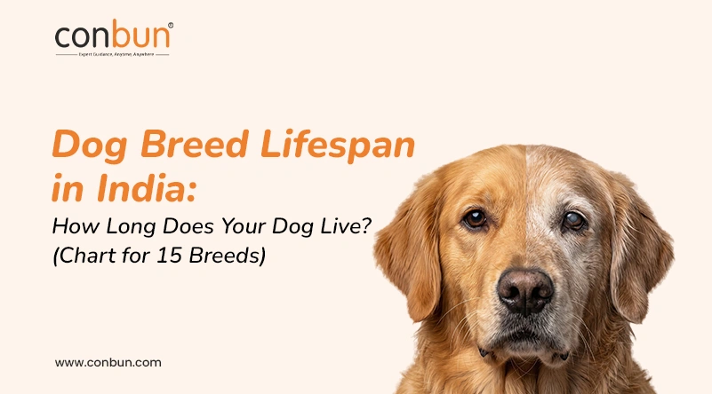 Dog Breed Lifespan in India: How Long Does Your Dog Live